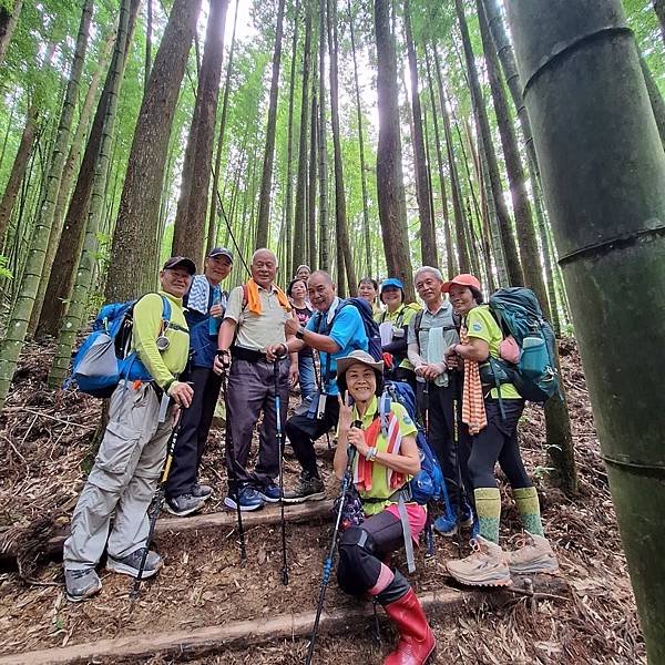 台中和平區長壽山。香杉林。竹林。森林浴