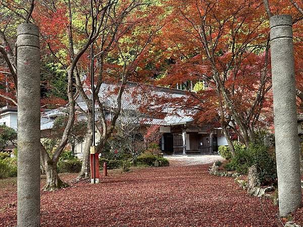 丹波紅葉之旅。弘浪山高山寺。紅葉滿寺。日本自由行