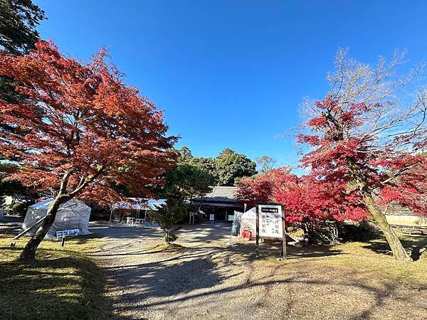 京都賞楓。醍醐寺。世界文化遺產。下醍醐