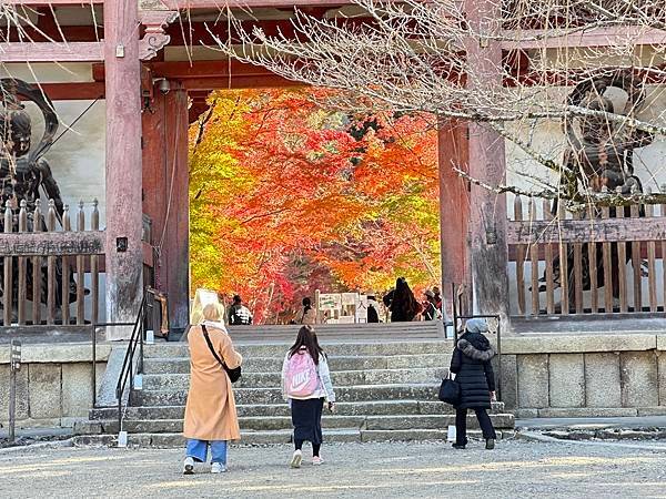 京都賞楓。醍醐寺楓情無限美。上醍醐。弁天池