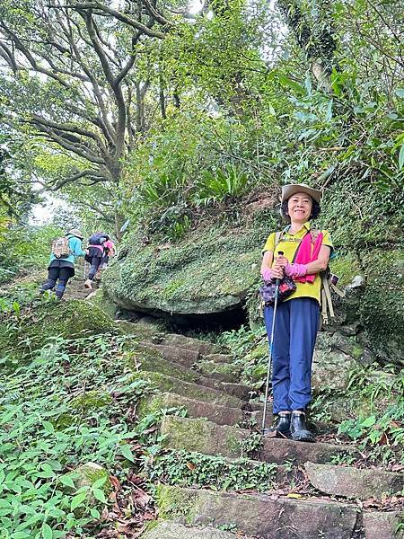 陽明山西段五連峰縱走。向天山。面天山。大屯山西峰。大屯山南峰