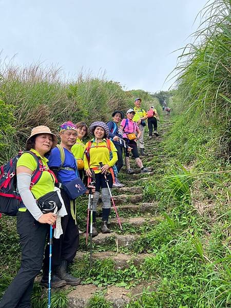 陽明山西段五連峰縱走。向天山。面天山。大屯山西峰。大屯山南峰