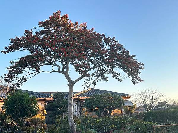 日本熊本住宿篇~植木溫泉區。桐乃湯溫泉