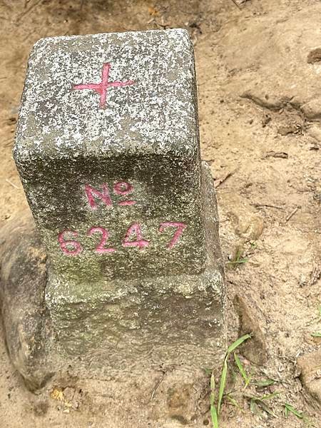 石牛山登山步道。關西鎮。台灣小百岳