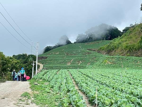 清境覓秘境。山行旅。博望新村。立鷹山