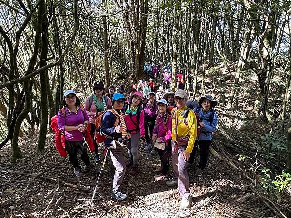 大雪山國家森林遊樂區。木馬道。稍來小雪山步道