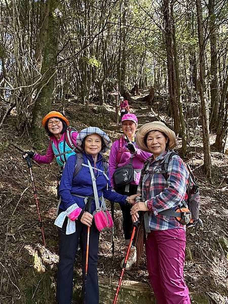 大雪山國家森林遊樂區。木馬道。稍來小雪山步道