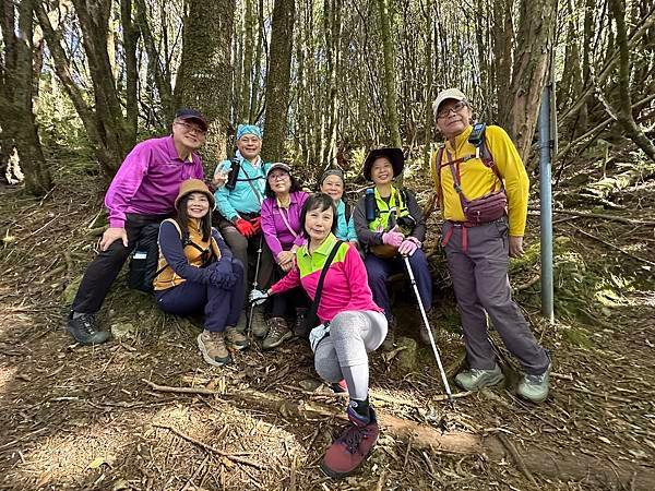 大雪山國家森林遊樂區。木馬道。稍來小雪山步道