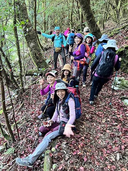 大雪山國家森林遊樂區。木馬道。稍來小雪山步道