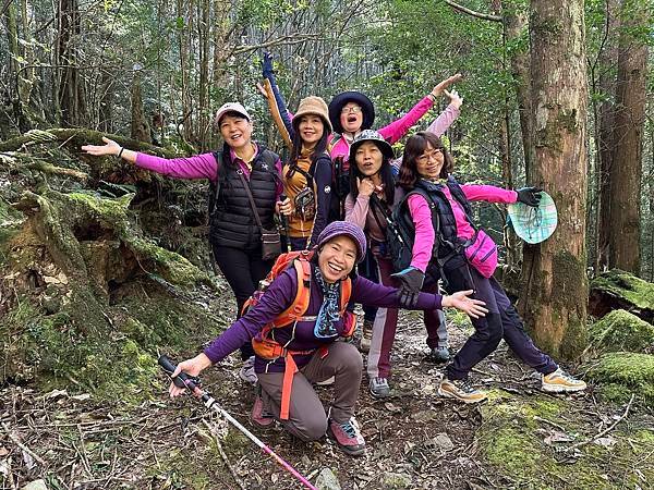 大雪山國家森林遊樂區。木馬道。稍來小雪山步道