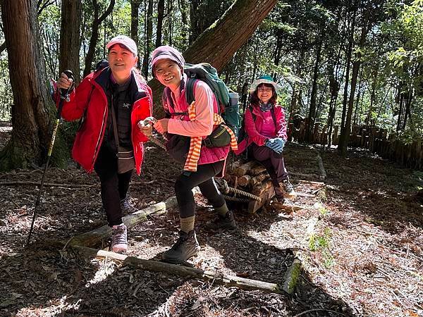 大雪山國家森林遊樂區。木馬道。稍來小雪山步道