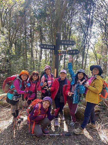 大雪山國家森林遊樂區。木馬道。稍來小雪山步道