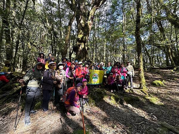 大雪山國家森林遊樂區。木馬道。稍來小雪山步道