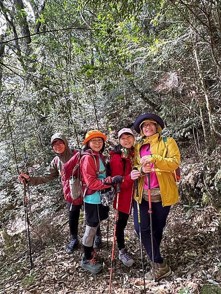 大雪山國家森林遊樂區。木馬道。稍來小雪山步道