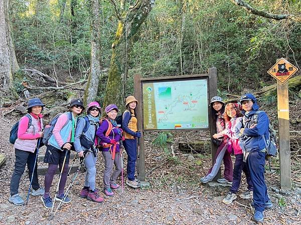 大雪山國家森林遊樂區。木馬道。稍來小雪山步道