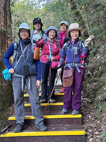 大雪山森林浴步道。大雪山森林遊樂區