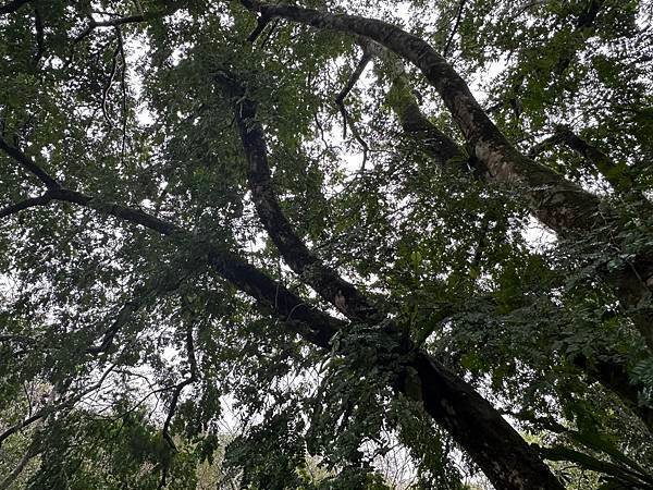 福山植物園