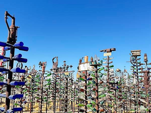美國66號公路。瓶樹牧場(Bottle Tree Ranch