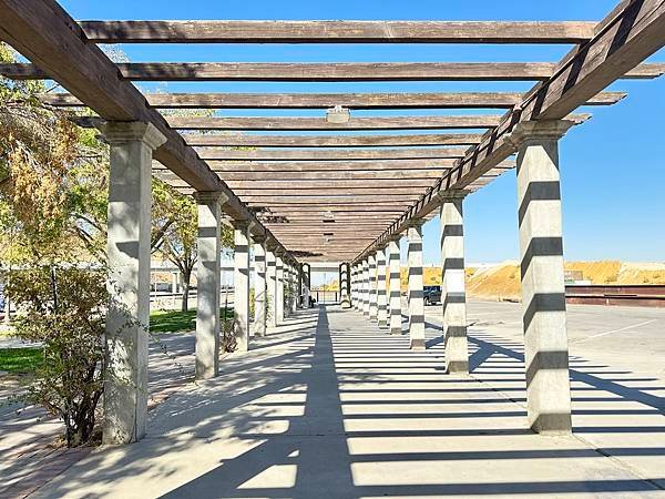 美國66號公路。瓶樹牧場(Bottle Tree Ranch