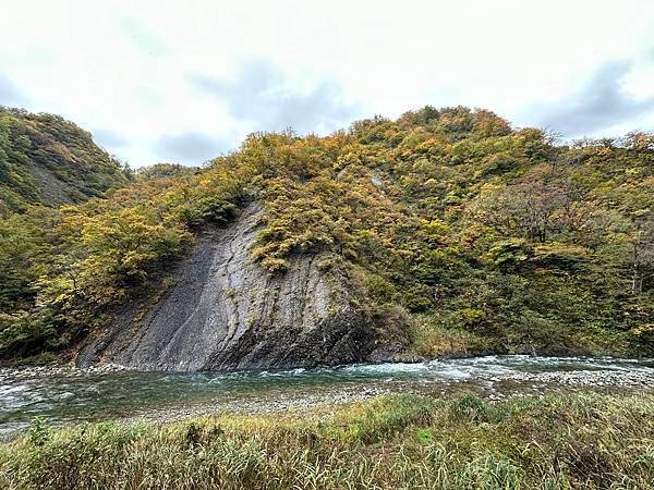 日本新潟。越後妻有大地藝術祭