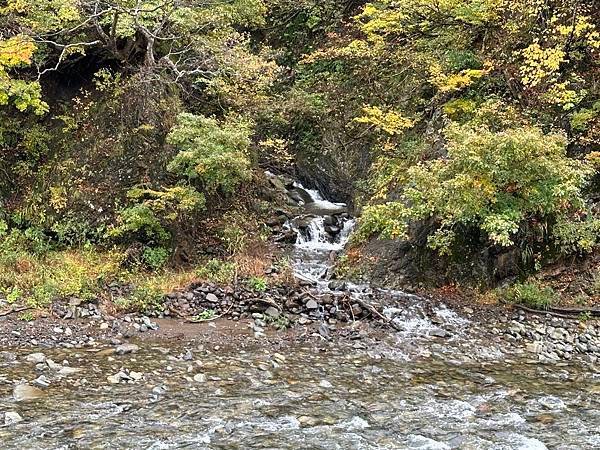 日本新潟。越後妻有大地藝術祭