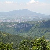 DSC00204