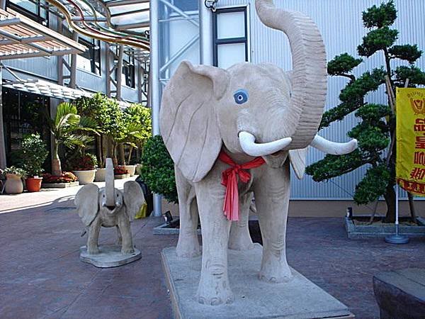 DSC00545-1