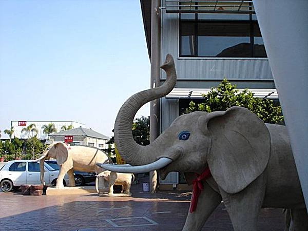 DSC00547-1