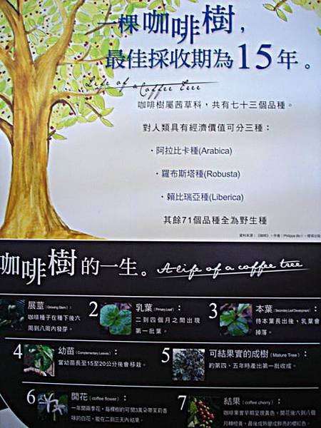 DSC00469-1