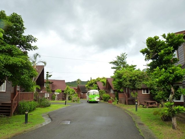 433-1.JPG