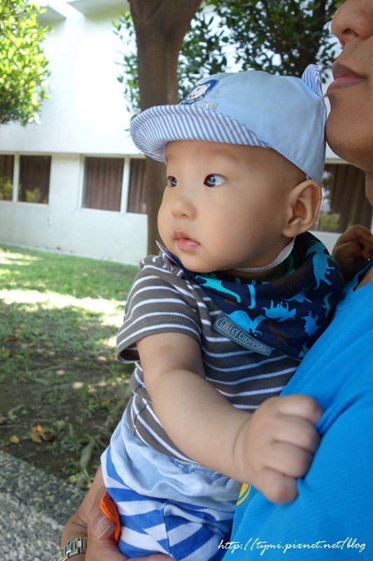 DSC08640.JPG