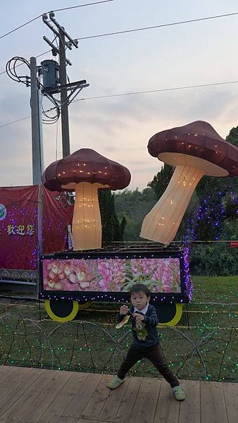 P1010330