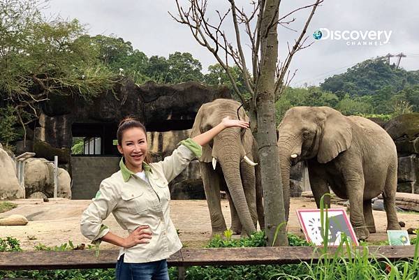 _從小喜愛動物、看動物星球頻道長大的CoCo李玟，除了接下動物星球頻道年度代言人之外，也為同是25歲生日的Discovery頻道獻出有史以來出道最「硬」挑戰.jpg