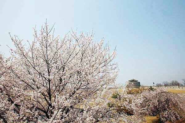 水原華城-01.jpg