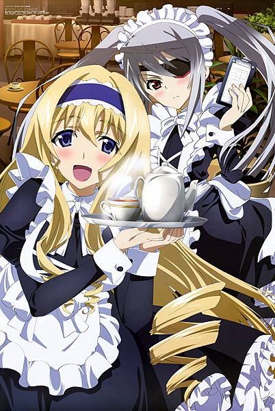 【Infinite Stratos】014.jpg