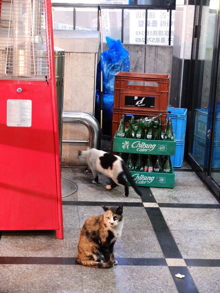DSCF3090.JPG