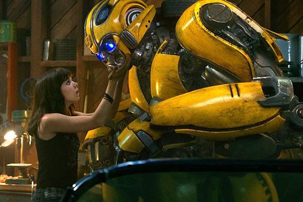 Bumblebee 01.jpg