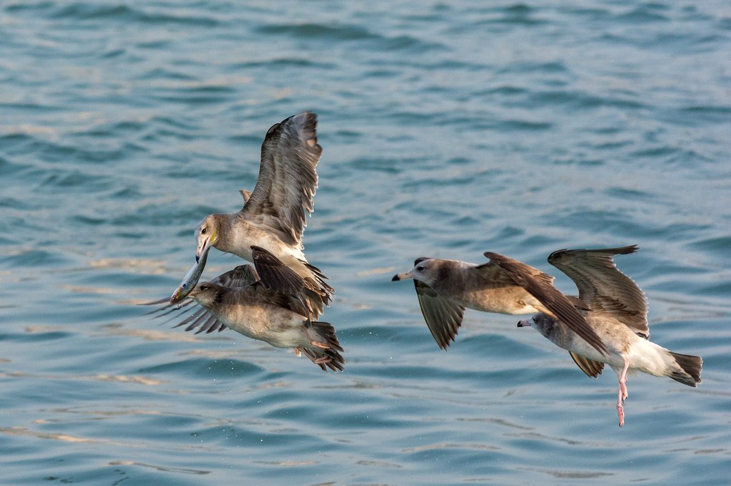 DSC_4034-編輯.jpg
