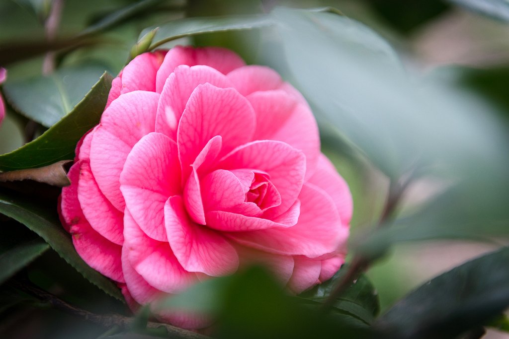 DSC_8361.jpg