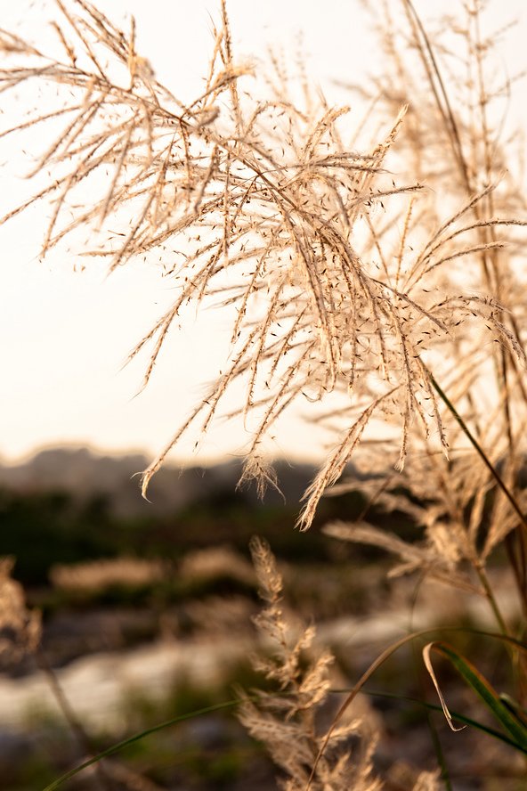 DSC_1798-編輯.jpg