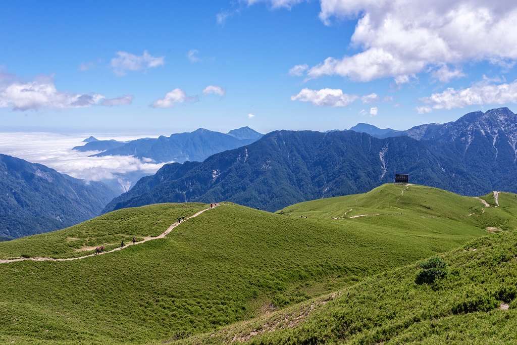 DSC_2231-編輯.jpg