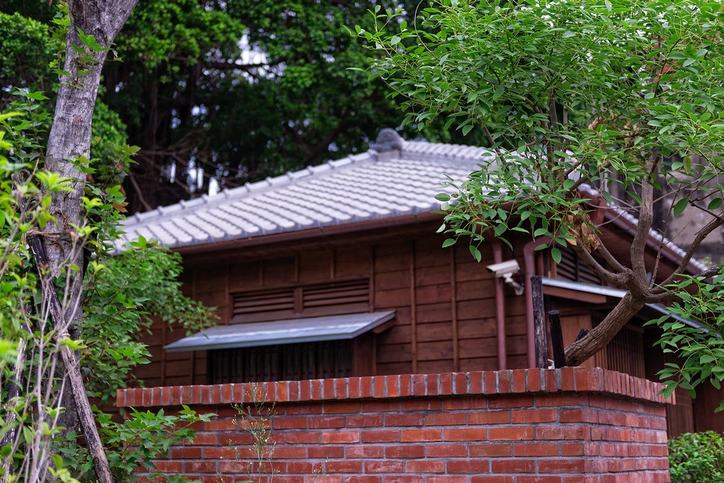 DSC_3018-編輯.jpg