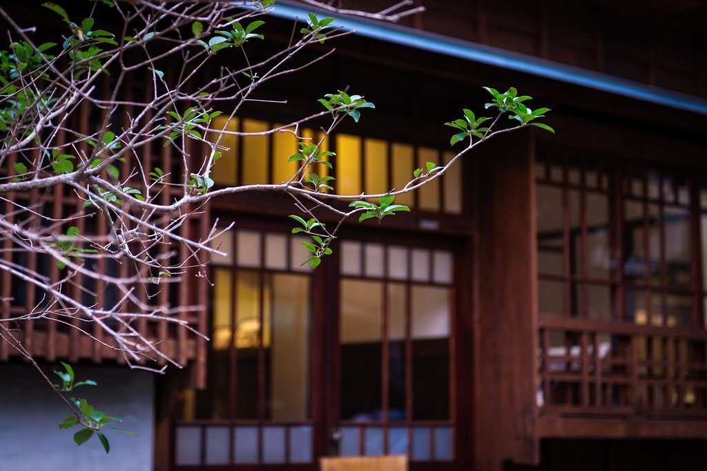 DSC_3019-編輯.jpg