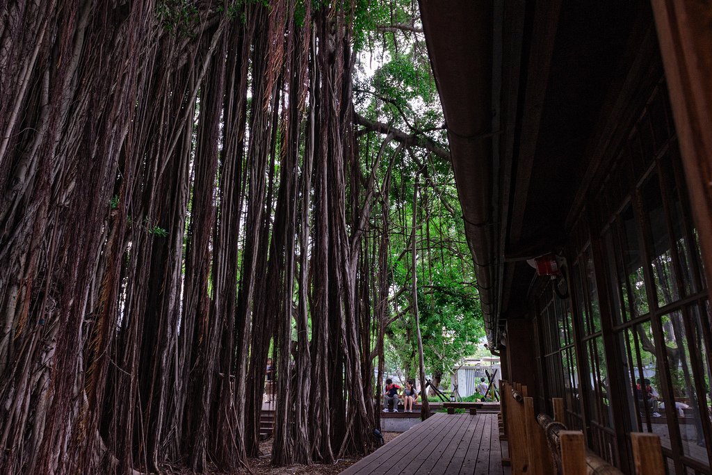 DSC_3050-編輯.jpg