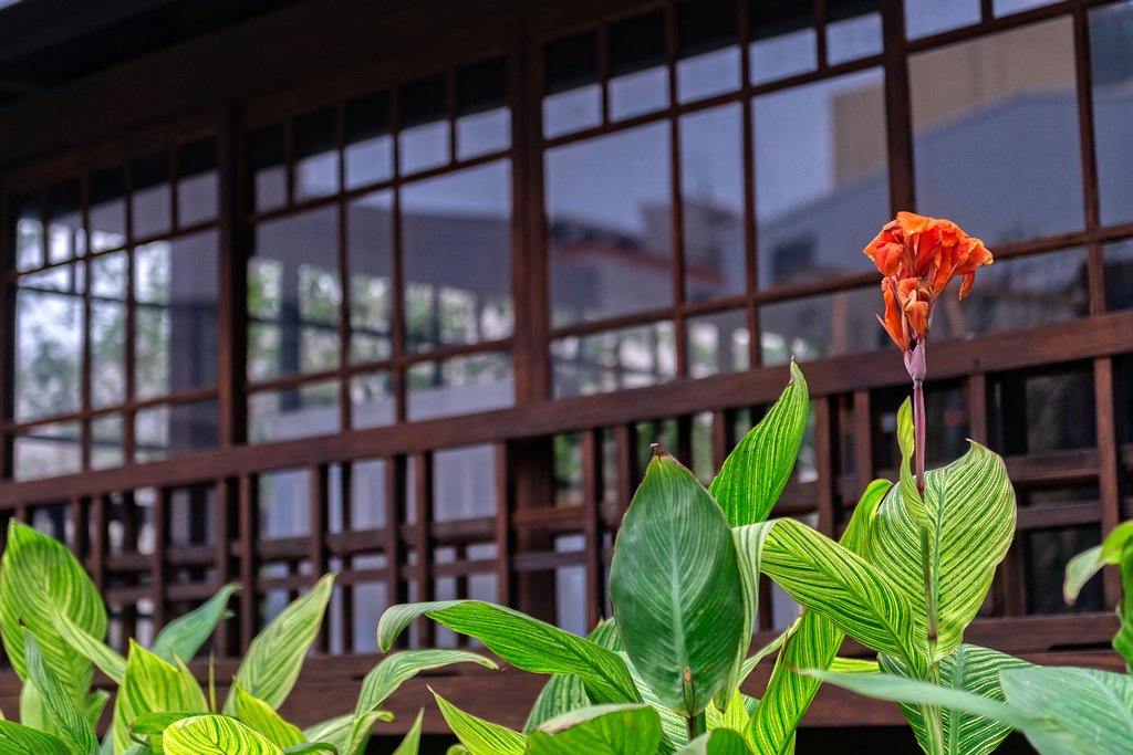 DSC_3057-編輯.jpg