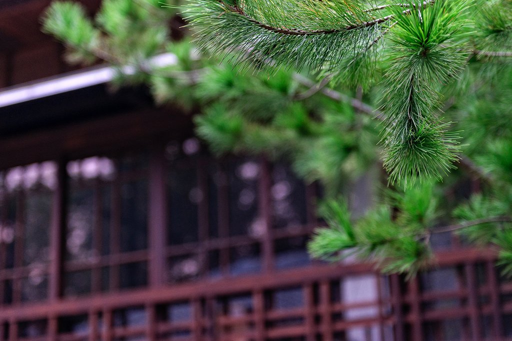 DSC_3065-編輯.jpg