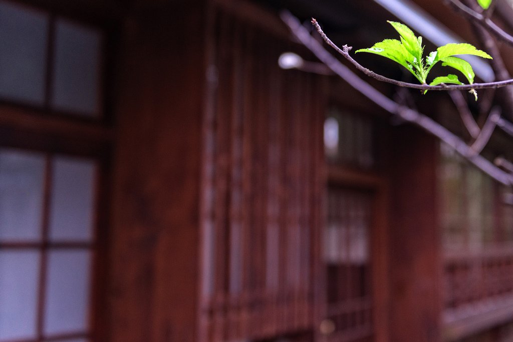 DSC_3067-編輯.jpg