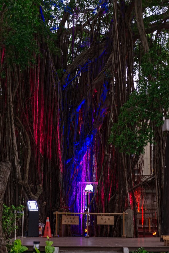 DSC_3084-編輯.jpg