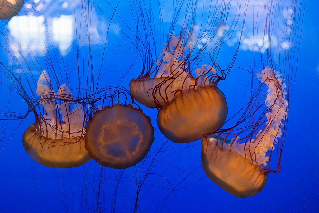 DSC_4697.jpg