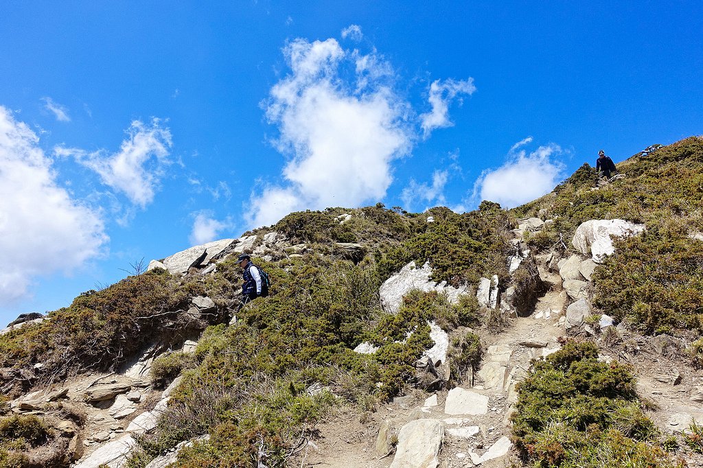 DSC04425-編輯.jpg